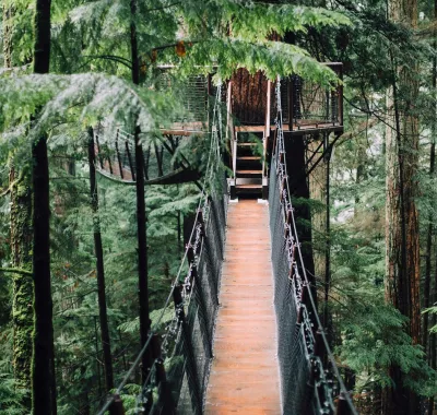 Photo by Lisha Riabinina on Unsplash