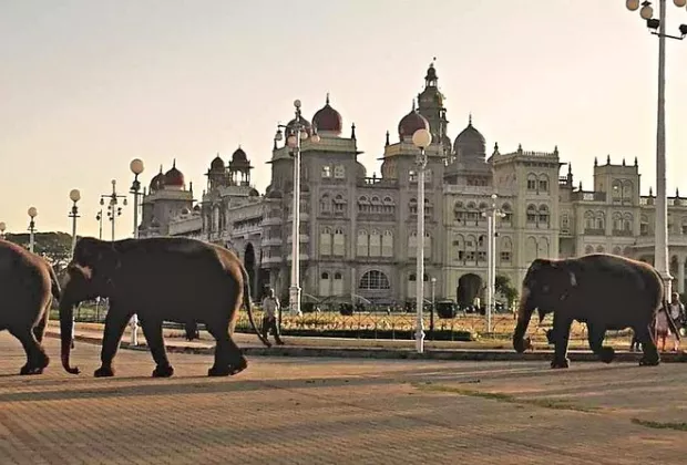 mysore
