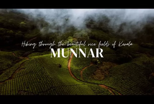 Preview image for the video "Breathtaking Drone Shots of Munnar's Tea Fields | Kerala Adventure"Description:".